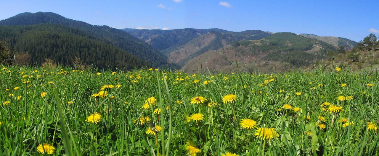 Yagodina Family Hotel Kültér fotó